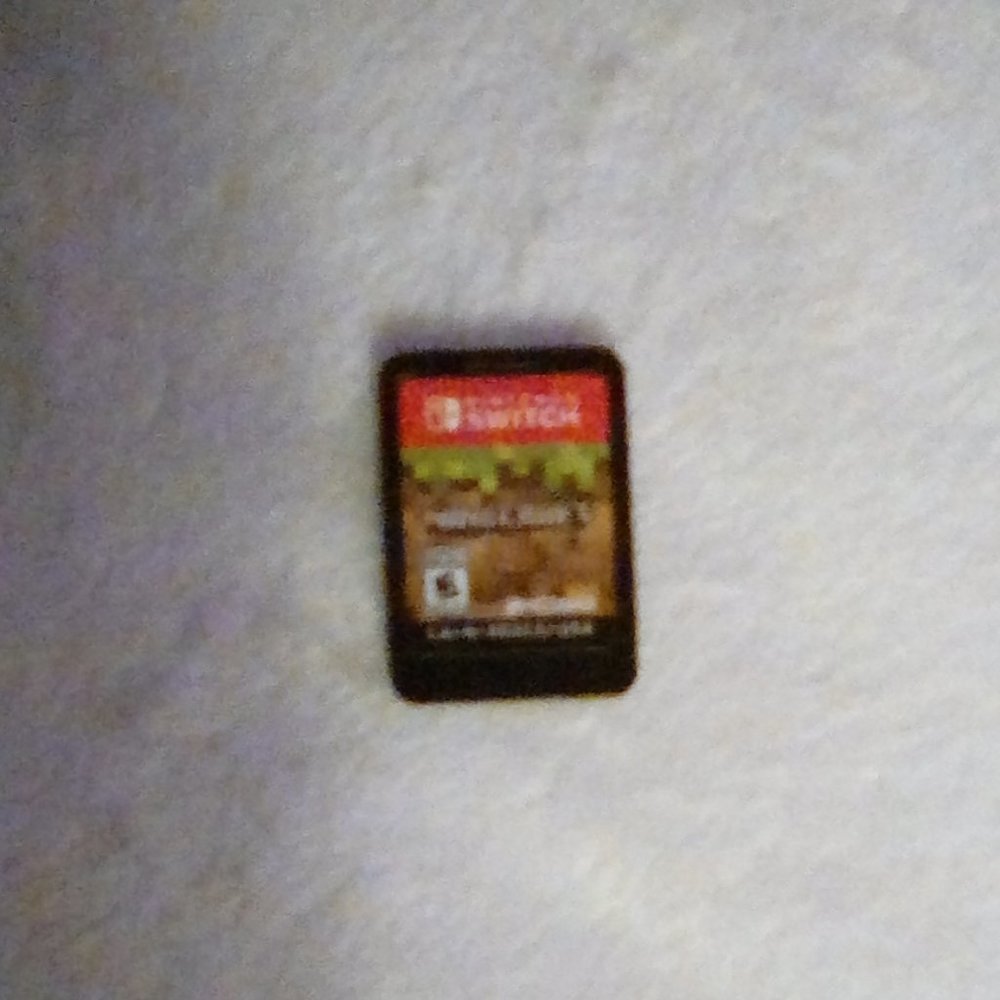 Nintendo Switch Minecraft Game